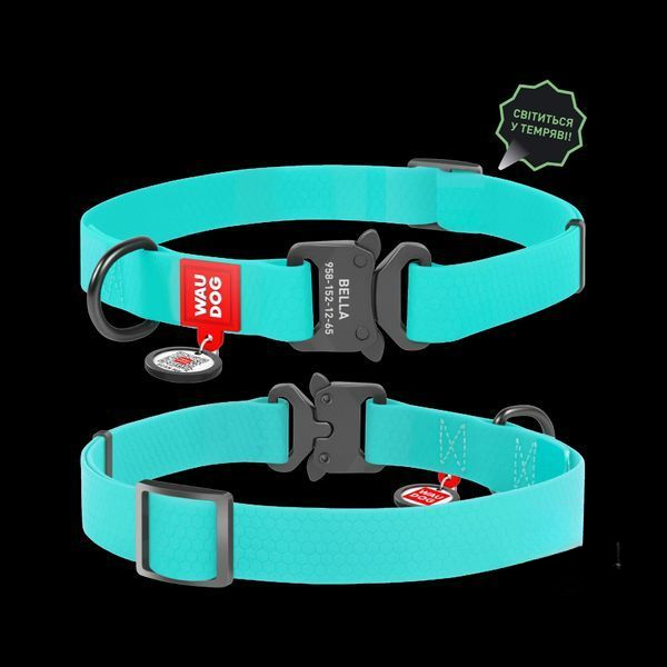 Нашийник для собак водостійкий ментоловий WAUDOG Waterproof, світиться, 35-58см