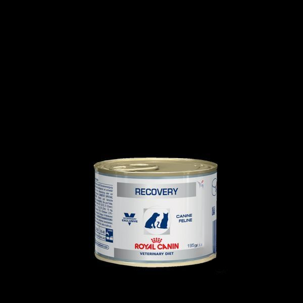 Royal Canin Recovery 195г