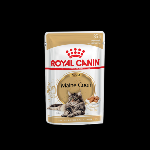 Royal Canin Maine Coon Adult