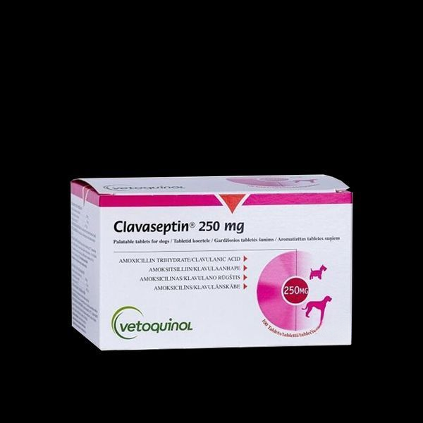 Клавасептін (Clavaseptin) 10таб. 62,5 мг